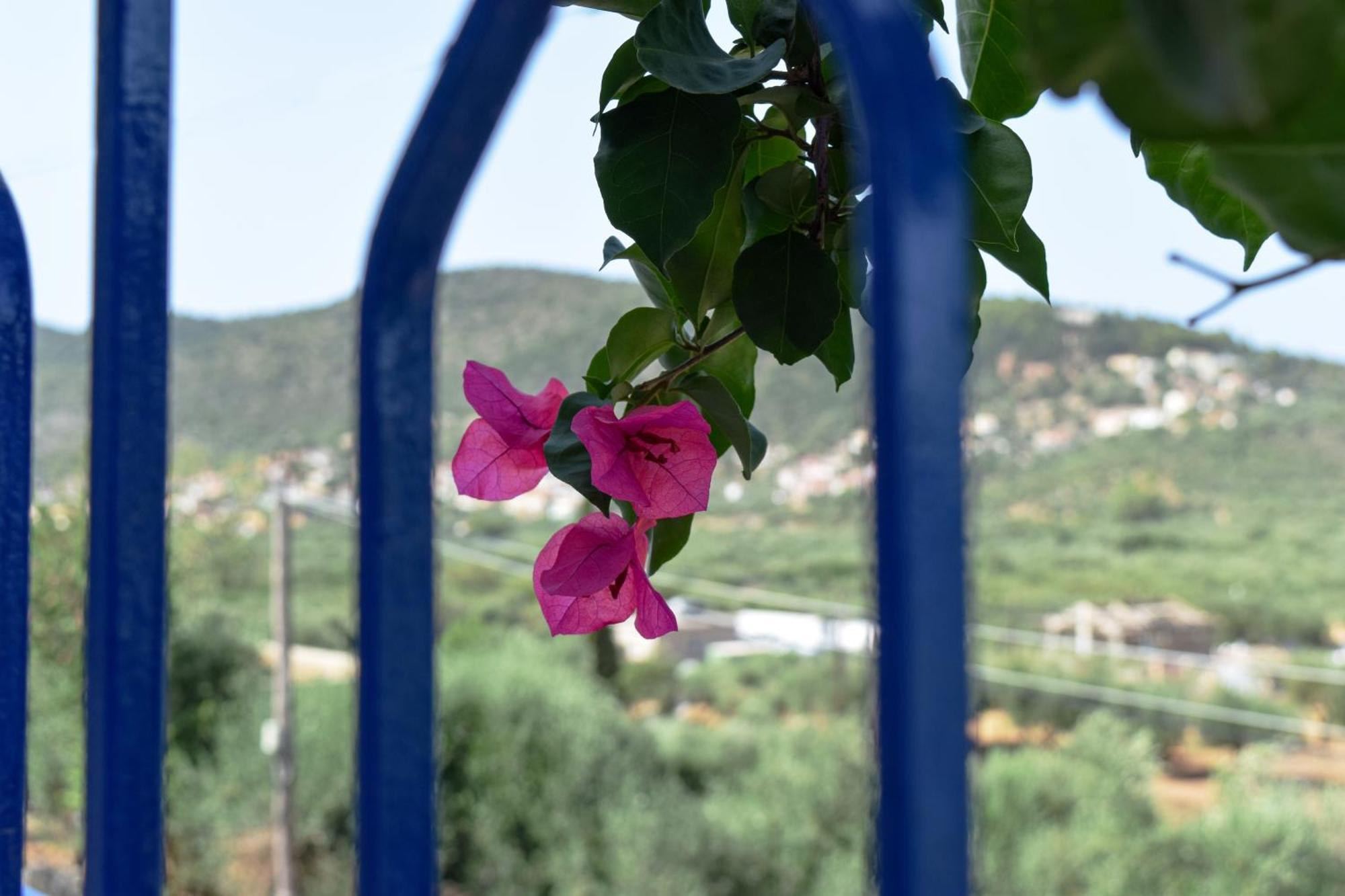 Val Di Compare Apartments バティ エクステリア 写真